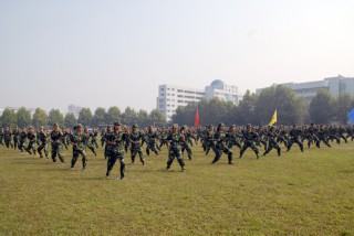 军训表演