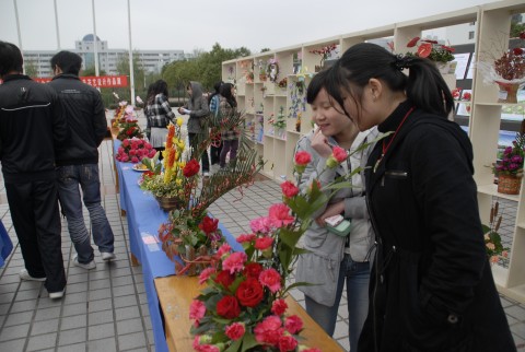 学生园艺作品展览